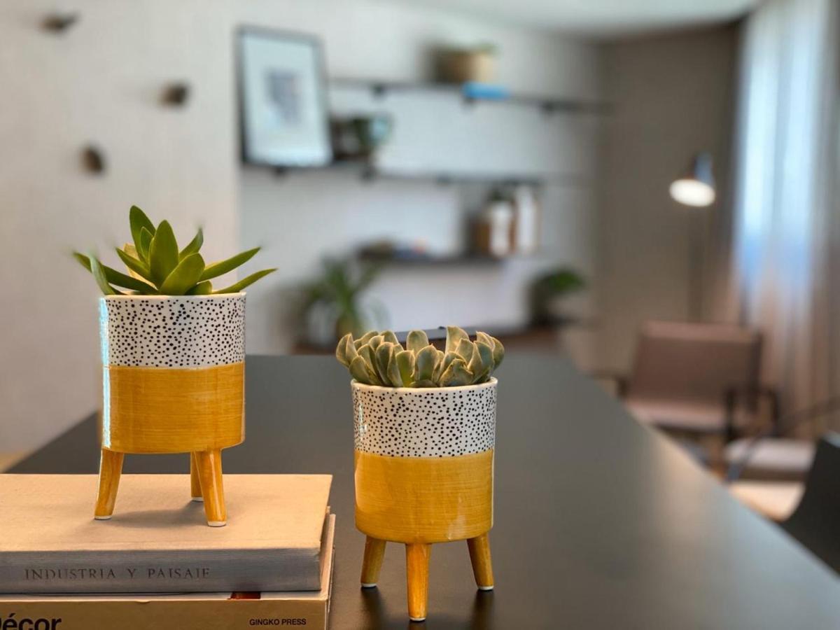 奥斯卡弗莱雷丽笙酒店 圣保罗 外观 照片 Succulents in a home